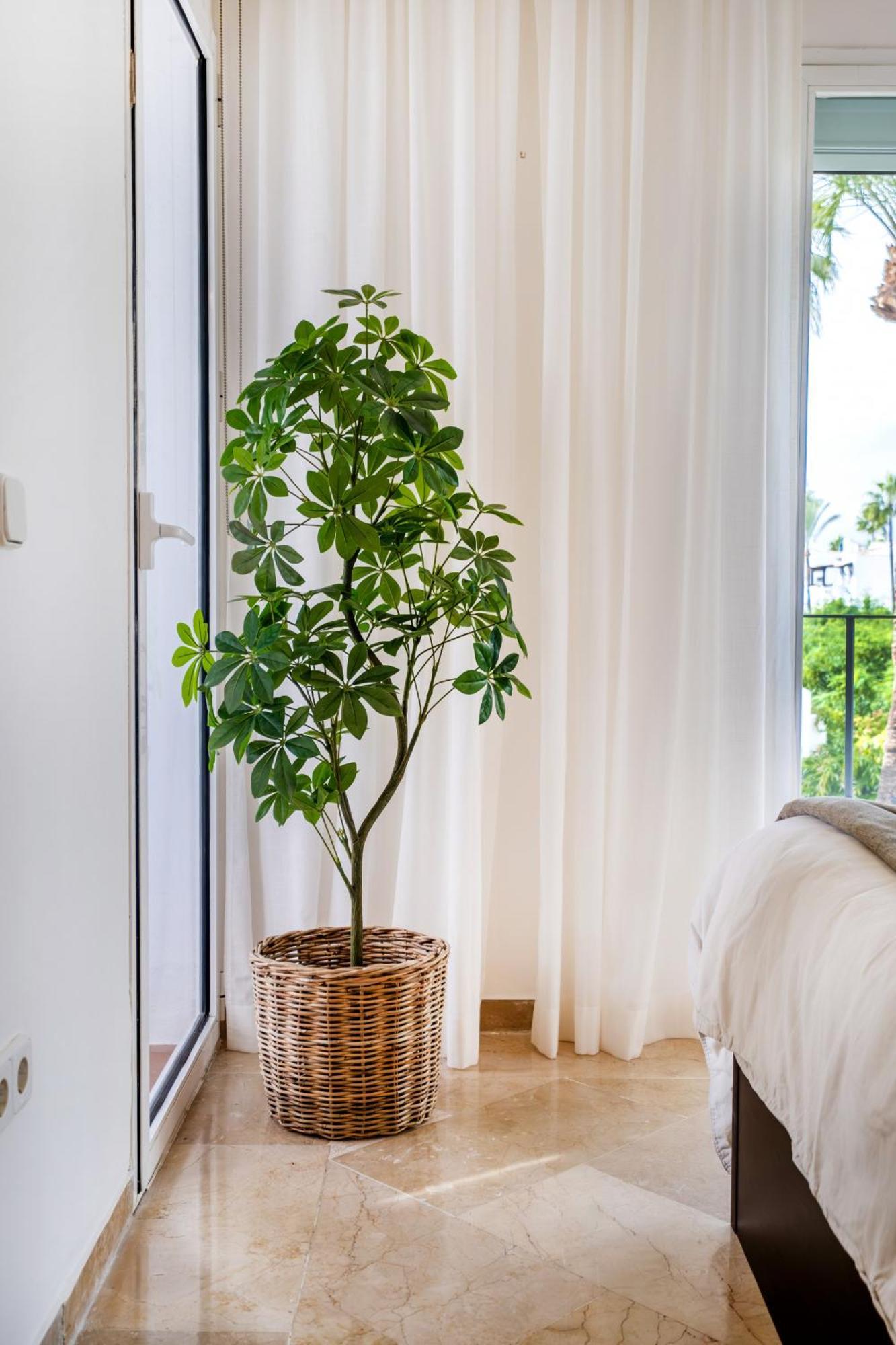 Costalita One Bedroom Apartment Εστεπόνα Εξωτερικό φωτογραφία
